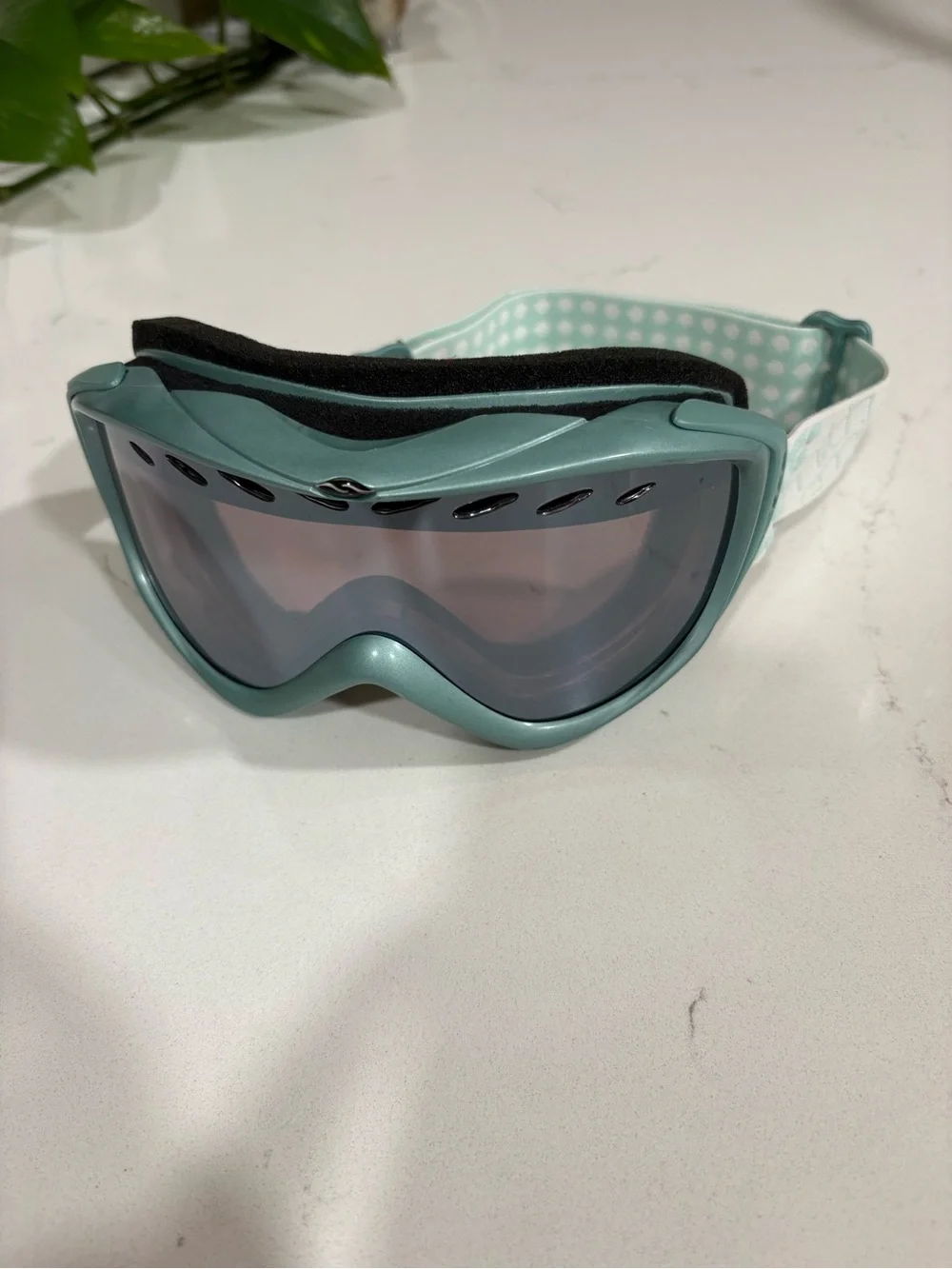 Smith Optics Transit Pro Ski and Snowboard Goggles